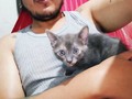 GUANABANA 😻 01-09-2020