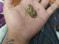 Amo encontrar mis cogollitos escondidos entre mis cosas 🥰😘