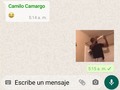 Vivo con el miedo constante de enviarle alguno de estos stickers a mi familia 😂🤭