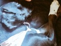 Te amo 💖
