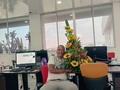 No merecemos menos 🥰
