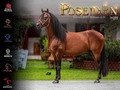 Poseidon 🏆🏆🏆 @poseidon_de_jh @lacristalinacriadero @diegogarcia86 @rancholuna @criaderojc80 @criaderojh  @cesarg72 @cesar_h_garcia_l @jamesgarciagiraldo @fabiogarcialopez @juanchogarcia94 @edwinlopez5 @luisfer193 @criadero.barcelona
