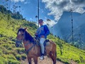 🐎🌴🇨🇴