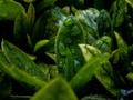 Compartiendo algunas de mis fotos