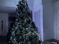 Gracias a nuestros clientes por compartir sus espacios con accesorios @juanpadecoracion.. Tendencias de navidad. .  Así colocamos la malla en el árbol. Dorado y rosado.. Colores tendencias #navidad2019 #rosado #navidadtradicional . Decoración... @juanpadecoracion . cotiza con nosotros al Whatsapp 3137849668. Nuestra tienda en el @pereiraplaza  Vive Juanpadecoraciones.com #vivejuanpadecoraciones #RENUEVA #espejos #mesas #decoración #papelcolgadura #espaciosjuanpadecoraciones #gatos #árbolesnavideña #decoraciónhoga #decoraciónhogar #regaloparamama #cobijas #mesas #espacios, #hechoenpereira # #tendidos #homedesign #exteriordesign #interiordesign #diciembre #diseñointerior #decoradores #vivejuanpadecoraciones #navidad2019 #navidad #navidadJuanpadecoraciones #juanpadecoracion #diciembre2019