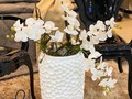 Viste tu casa con @juanpadecoracion. . . Colección papel de colgadura #papelcolgadura  Un mes cargado de detalles para ti.. #febrero  Preguntame por los cojines de promoción al Whatsapp 3137849668.. Papel de Colgadura tendencia. . . . . Tendencia Decoracion 2020.  Lista de regalos con @juanpadecoracion  Azul color @pantone 2020 . . . Renueva con nosotros tu espacio este 2020 . Hablanos al Whatsapp 3137849668 @juanpadecoracion  #homedesign #AÑONUEVO #2020 #decoraciónhogar #diseñadores #interiordesign #exteriordesign #habitacion #tendidos #cama #buda