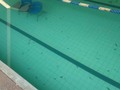 La clase de natación va ser teórica.
