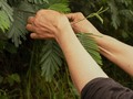 Trabajamos todos los días por encontrar formas más sostenibles de impactar positivamente en el medio ambiente. Guiados por los #ODS de la @nacionesunidas en Socarrás, Historias Hechas a Mano entender los ecosistemas comunitarios se ha convertido en una prioridad por más de 17 años. Hoy, transitamos hacia la sostenibilidad de forma más consciente y responsable.