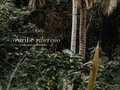 El caribe al lado de los ríos es nostálgico, macondiano, de casas grandes y patios amplios; de fachads blancas. Es un caribe de lino, de colores neutros y pálidos; de un blanco inmaculado. LLeno de magia, historias, folclor; de aquí vienen las ráices de Juan Pablo, de un Caribe ribereño, que está al lado del río Magdalena, de Mompox, de Barranquilla, del Guatapurí, al lado de Villa nueva.