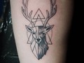 #venado #alce #tattoo #ciervo #crecimiento #fases #cambios #caracter #nobleza #firmeza #tatuaje #geometrico #asimetrico #blacktattoo #negro #tinta #piel #concepto #reflejo #ejemplo #comportamiento  @bishoprotary  @casarealstudio76