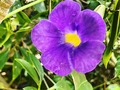 Haz siempre lo más amoroso para ti. . . . . . Colores de la vida, mi vida.🌷