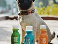 🐕 Maya la pug descubrió que JUS tiene descuentos en Superama por el mes de la salud.🤭 ✨Etiqueta a tu amig@ que le encantará aprovechar las promos 📲 . . #juslab #juslabmx #coldpressedjuice #juice #natural #cdmx #healthylifestyle #mesdelasalud