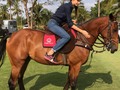 My love for animals is so strong tha with the love for my work, made this event a unique experience, although if I am honest the star of the show was this new friend named Carlos❤️🇹🇭 #queenscup #pinkpolo #animallover _____________________________________________ Mi amor hacia los animales es tan fuerte que combinado con el amor hacia mi trabajo, hizo de este evento una experiencia única, aunque si les soy sincera la estrella del show fue este nuevo amigo llamado Carlos ❤️ #lovehorses #pink #fashionshow #justgemazarina Z