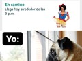 No es un meme 😅