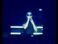 Pitbull @figally