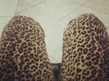 hoy ando de modo tigresa #sexy #fashion