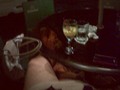 Disfrutando de la.noche