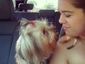 Love mi chanel.cristina. @picnic time