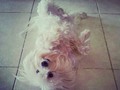 Mi Gucci Bello <3