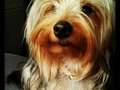 Chanel Cristina Love U mi corazon <3