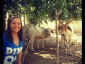 @pedregosito y las vaquitas #semanasanta #2013