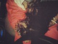 Esta logistica de manejar y llevar 2 puppys a la vez es un poco compleja ! #nolike