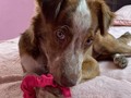 Feliz día pequeño💓