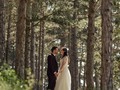 Sandra + Sergio  Morella, Spain 🇪🇸  Un bosque realmente mágico con ese toque medieval de cuentos de caballeros y doncellas. #bodas #bodasespaña #bodasvalencia #bodas2022 #fotografodebodas #parejas #ideasdeboda #weddingplanners