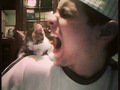#pets #cats #angry #scream #me
