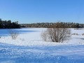 Snowy Winter Landscape