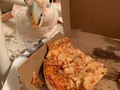 Boo got triggered to our old college days by the sight of a @dominos box. He clearly had a vivid flashback tonight 😂#collegebird #pizzaface #stlpets #birb #birbs #cockatoo #cockatoosofinstagram #cockatoos #cockatoolove #goffinscockatoo #goffinsofinstagram #bootard #boobird