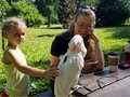 Misha got to meet kids this morning! He did so good letting them pet him. He likes children and people with calm energy. I don’t think he missed having his morning nap, and he would have chilled at the picnic table all day if he’d had his way! @stlwilderkids #stlpets #stlkids #towergrove #towergrovepark #moluccancockatoo #cockatoo #cockatoolove #loveskids #cuteanimals #cutebird #kidswithbirds #birdsandkids #parrottraining #birdtraining #parrotsocialization #cockatoosofinstagram #cockatoolife #stlparks #summerdaycamp #towergrovestl #stl #stlfun @angelaurbanwild @holeekao