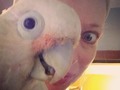 Boo and I are off the selfie game compared to ten years ago! It’s probably because I have aged and am getting old, but he has not … we’re out of sync and could not align our eyes (but we laughed a lot trying). #thenandnow #tenyearchallenge #wackywednesday #goffincockatoo #cockatoos #birdselfie #cutebird #boobird #cockatooselfie #stlpets #lifetimepet #birdsareforever #lifetimebff