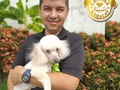 Scott nos visitó para probar una peluquería canina estilo #zen 🧘 cuando nuestros amigos caninos nos demuestra algún temor debemos ayudarlo a superarlo, creo que Scott le está dando una oportunidad a esto de la peluquería canina 🥳. Nos desvivimos atendiendo a nuestros clientes y tenemos mucha precaución a la hora de realizarles sus servicios es en lo que somos expertos, con ninguno de nuestros clientes nos gusta estar apresurados ni contra reloj ni mucho menos hacerlos perder tiempo innecesario esperando a que lo antienadan, •Sabemos que lo que más les gusta es estar en su hogar echando un sueñito y más en éstos climas que nos rodea últimamente. • Si tú también eres del estilo @caninamaracay te invitamos a seguirnos y anímate a tomar tu cita o visitarnos, ya sabes también préstamos servicios de hospedaje entrenamiento cursos y talleres de peluquería caninay realizamos tus compras en USA !! Llámanos al 04144607953/ 02438083150 #maracay #peliqueriacanina #hospedajecanino #venezuela #tiar #bulldogfrances #bulldog #ilovemylife #chihuahua #chihuahuas_of_instagram
