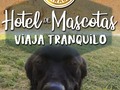 Obtén Lo mejor en servicios, para que no te preocupes ni un segundo de tu mascota. •Ven junto a ella y disfruta explorando nuestras instalaciones! •Las cuales cuentan con: amplios jardines, aéreas de juegos espaciosos, área de adiestramiento canino e iniciación de #agility. . •En sus vacaciones, disfrutara de su servicio completo de peluquería y baño, para que el día que retorne a tu lado es te radiante y feliz de haber pasado unas divertidas y relajantes vacaciones en el mejor spa de Maracay @caninamaracay •Para mayor información contactanos y solicitar tu visita guiada via whatsapp 04144607953 o llamar al 02438083150 Nuestros horarios son de lunes a domingo de 7am a 6pm  #maracay #hospedaje #hospedajecanino #hospedajefelino #guarderiacanina #guarderiafelina #alojamientocanino #alojamientofelino #cagua #turmero #lasdelicias #calicanto #lafloresta #lacooperativa #lamorita #andresbello #cerrohotelmaracay #valencia #caracas #peluqueriacanina #poodle #schnauzer #goldenretriever #yorkshire #pug #huskypuppy #venezuela #sembradaenvenezuela