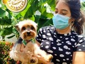 ❤️Lo mejor en servicio para tu 🐶 Aceptamos PayPal Zelle PAGO MÓVIL  •Para mayor información contactanos y solicitar tu cita vía whatsapp 0414*4607953 o llamar por favor insistir hasta que caiga la llamada. . . Nos abstenemos de perros AGRESIVOS, ENFERMOS y con Pulgas/Garrapatas. Esto para poder ofrecerle la seguridad de que nuestros espacios está totalmente libre de enfermedades y ectoparasitos. . (Si tu perrito actualmente padece alguno de estos caso, la recomendación es primero tratar este problema para luego poder recibirlo con mucho gusto).  Nuestros horarios (covid_19) son de lunes a domingo de 7am a 11am   . . .   ✨ °. . •    • 🐾 ° . ° `  ☄️ • •  . ✨ •  • . 🐾 •  🐾 . • `    • ° ` .  . • . °   🐾 • 🚀 .  . .   • •  •  🌎   #maracay #aragua