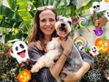 ❤️Lo mejor en servicio para tu 🐶 Aceptamos PayPal Efectivo  •Para mayor información contactanos y solicitar tu cita vía whatsapp 0414*4607953 o llamar por favor insistir hasta que caiga la llamada. . . Nos abstenemos de perros AGRESIVOS, ENFERMOS y con Pulgas/Garrapatas. Esto para poder ofrecerle la seguridad de que nuestros espacios está totalmente libre de enfermedades y ectoparasitos. . (Si tu perrito actualmente padece alguno de estos caso, la recomendación es primero tratar este problema para luego poder recibirlo con mucho gusto).  Nuestros horarios (covid_19) son de lunes a domingo de 7am a 11am   . . .   ✨ °. . •    • 🐾 ° . ° `  ☄️ • •  . ✨ •  • . 🐾 •  🐾 . • `    • ° ` .  . • . °   🐾 • 🚀 .  . .   • •  •  🌎   #maracay #peluqueriacanina #peluqueriacaninamaracay #aragua