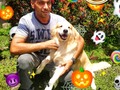 ❤️Lo mejor en servicio para tu 🐶 Aceptamos PayPal Efectivo   •Para mayor información contactanos y solicitar tu cita vía whatsapp 0414*4607953 o llamar por favor insistir hasta que caiga la llamada. . . Nos abstenemos de perros AGRESIVOS, ENFERMOS y con Pulgas/Garrapatas. Esto para poder ofrecerle la seguridad de que nuestros espacios está totalmente libre de enfermedades y ectoparasitos. . (Si tu perrito actualmente padece alguno de estos caso, la recomendación es primero tratar este problema para luego poder recibirlo con mucho gusto).  Nuestros horarios (covid_19) son de lunes a domingo de 7am a 11am   . . .   ✨ °. . •    • 🐾 ° . ° `  ☄️ • •  . ✨ •  • . 🐾 •  🐾 . • `    • ° ` .  . • . °   🐾 • 🚀 .  . .   • •  •  🌎   #maracay #peluqueriacanina #peluqueriacaninamaracay #aragua