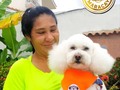 💈 solicita tu servicio #todosconydalmy tiene un valor desde 5$ será atendido por la groomer merlianys silva @merlianysg trabajamos por turnos o citas de lunes a domingo de 8am a 12m🥰  ❤️dale Lo mejor en servicio para tu 🐶 Aceptamos PayPal   •Para mayor información contactanos y solicitar tu cita vía whatsapp 0414*4607953 o llamar por favor insistir hasta que caiga la llamada. . . Nos abstenemos de perros AGRESIVOS, ENFERMOS y con Pulgas/Garrapatas. Esto para poder ofrecerle la seguridad de que nuestros espacios está totalmente libre de enfermedades y ectoparasitos. . (Si tu perrito actualmente padece alguno de estos caso, la recomendación es primero tratar este problema para luego poder recibirlo con mucho gusto).   . . .   ✨ °. . •    • 🐾 ° . ° `  ☄️ • •  . ✨ •  • . 🐾 •  🐾 . • `    • ° ` .  . • . °   🐾 • 🚀 .  . .   • •  •  🌎   #maracay #peluqueriacanina #peluqueriacaninamaracay #aragua #peluqueriacaninaadomiciliomaracay #lamorita #lavictoria #lasdelicias #cagua #calicanto #Peluqueriafelinamaracay