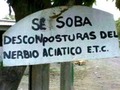 Bienvenidos sean al negosio jajajajajajjajajajajajajajajjajajajajajajjauauajauajajjajajajajaj me hizo la tarde