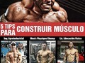 5 principios básicos para construir músculo - Aquí te voy a dar unas pautas para que tengas en cuenta, si lo que deseas es construir musculo. • Ajustar tus rutinas: El 70% de tus rutinas deben focalizarse en levantar entre un 65 y un 85% de tu 1RM, dejando el otro 30% para rutinas en las que prime la intensidad (trabajo de fuerza). • Descansar poco entre series, ya que se favorece el estrés metabólico anteriormente mencionado. • El tiempo bajo tensión favorece tanto las fibras de contracción lenta como las de contracción rápida, lo cual interesa a las personas cuyo único objetivo sea la ganancia muscular, pero no para aquellos que busquen maximizar su rendimiento en un deporte determinado, en cuyo caso deberían trabajar con más frecuencia las fibras de contracción rápida. • Una cadencia entre 2-4 segundos para la parte excéntrica del movimiento y 1-3 segundos para la parte concéntrica son las ideales para producir estrés metabólico y daño muscular. • Realizar más ejercicios multi-articulares: Este tipo de ejercicios es posible trabajarlos a una alta frecuencia durante la semana y por lo tanto puede facilitar en determinados casos el crecimiento muscular, especialmente en principiantes.  #IngenieriaCorporal - #ContagiandoElDeporte  Por: @cesar_thefit– @kuangli_fitness - @faridnaffah