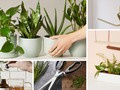 What to get for someone who loves plants
