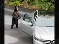 Bear Attempts to Jack Mercedes As Car Owners Scream