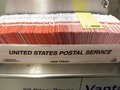 Excited crowds cheer USPS workers as they celebrate the Biden-Harris win