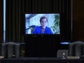 Elizabeth Warren hates Zoom as much as we all do