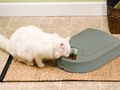12 of the best automatic cat feeders to keep your pet fed and happy
