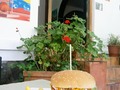 Con ganas de una hamburguesa? Te esperamos en La Isla Restaurante. Estamos en Quito, Mariscal Foch E5-24 entre Juan León Mera y Reina Victoria de martes a domingo a partir de las 12m! #cachapaenquito, #lamejorcachapadequito, #losbuenossomosmas, #comidavenezolanaenquito, #fastfoodvenezuela, #arepasenquito, #tequeñosenquito, #pepitosenquito, #hechoconamor, #quesilloenquito, #marquesadechocolateenquito, #foofporn, #quehacerenquito, #dondecomerenquito, #cachapaenquito, #quitocalle, #venezolanosenquito, #venezolanosemprendedores, #plazafoch, #laislaeyp