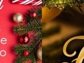 2022-12-01 13:50:32