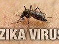 Se reporta 175 caso de el viru Zika en bajo de haina