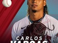 SANTO DOMINGO (Licey.com).- El relevista derecho, Carlos Vargas, realizó su debut en el béisbol de las Grandes Ligas durante un partido en el que su equipo, los Diamondbacks de Arizona, se enfrentaba a los Dodgers de Los Ángeles, en el Día Inaugural de la temporada